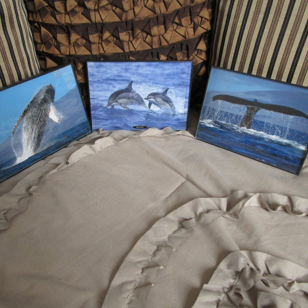 lot of framed souvenir postcards